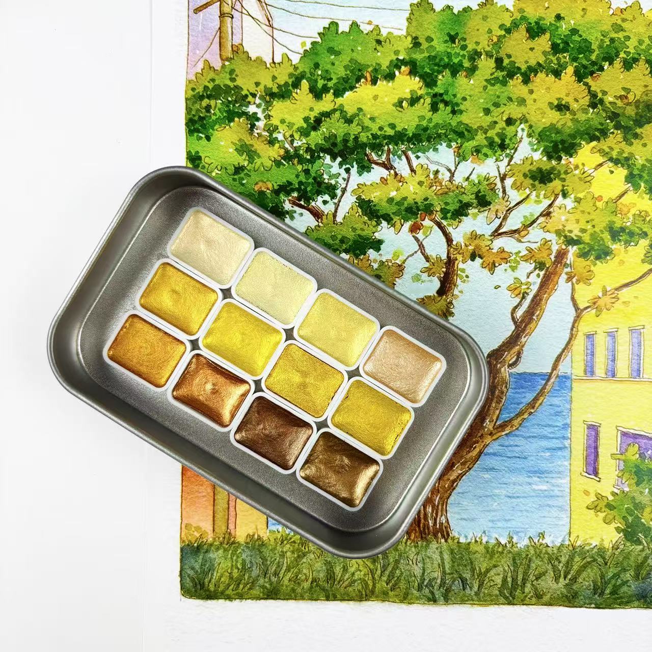 Watercolor Paint Set Solid Pigment - アート用に設計された12色のソリッドゴールドパール水彩を備えたプロフェッショナル水彩顔料の完全なセット、特別な