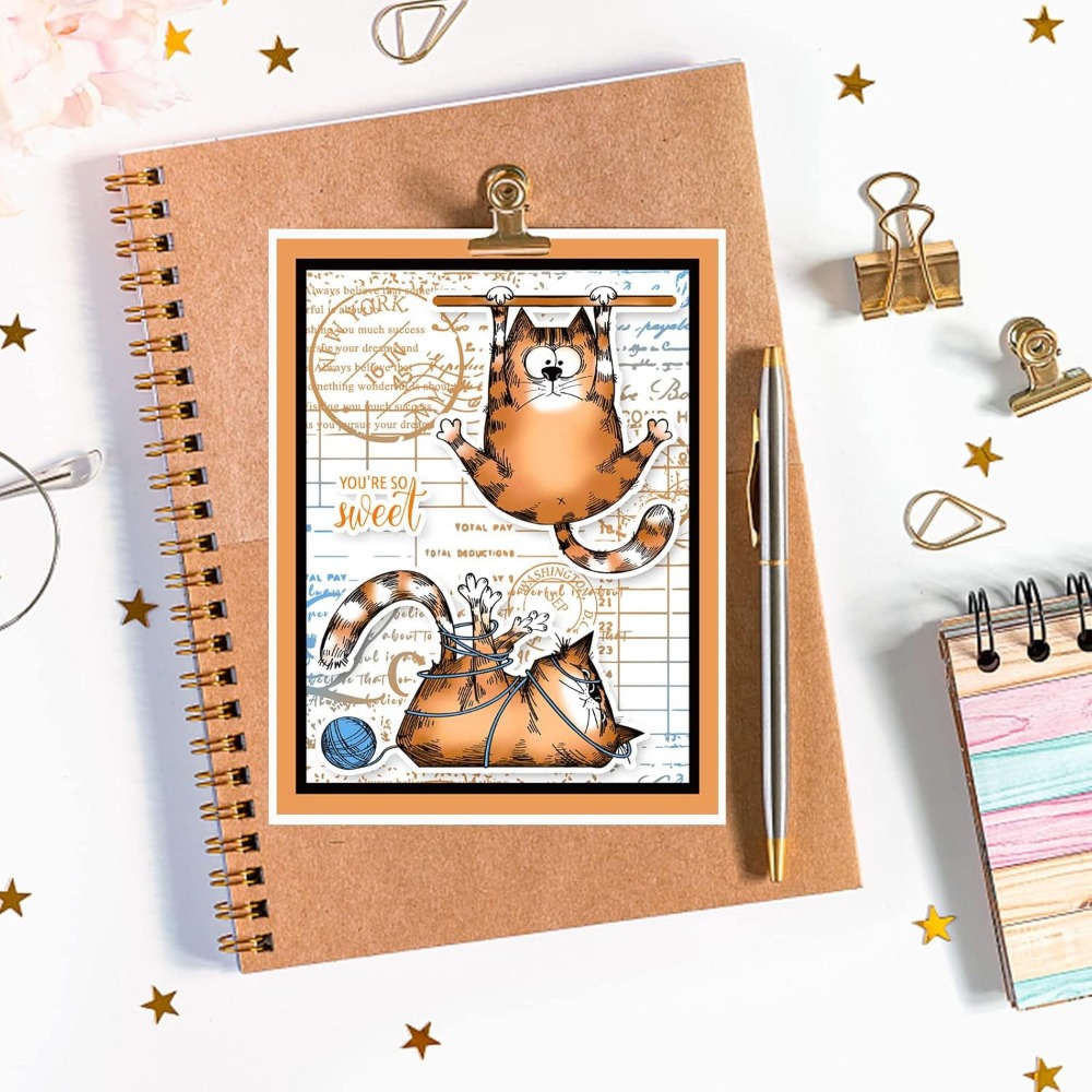 透明なシリコンゴムスタンプ、素敵な猫のアザラシ、願いの言葉、 - Clear Silicone Stamps For Card Making のレビューと価格